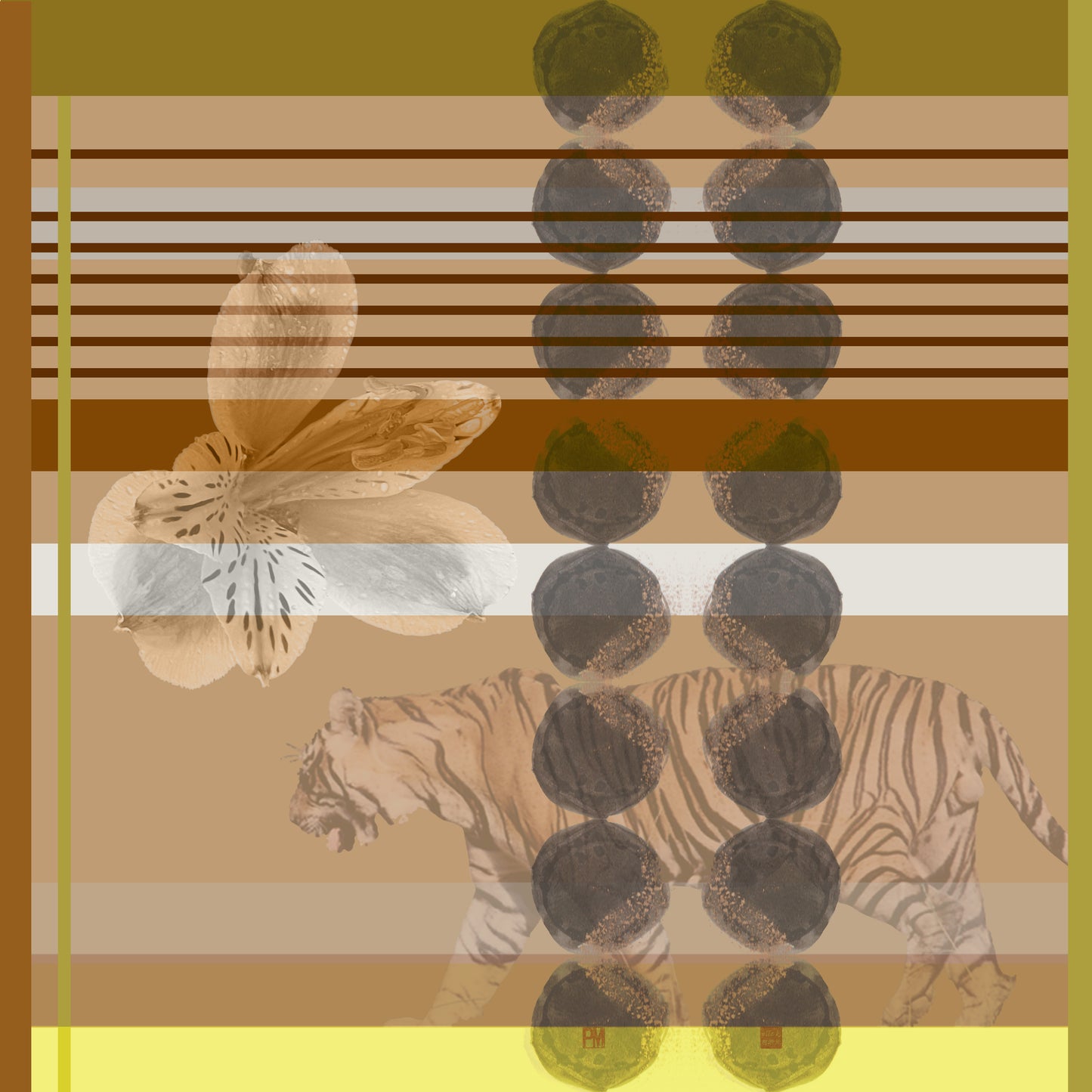 Foulard "Tiger & Co."