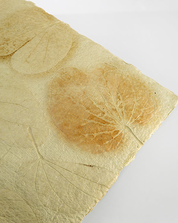 Tischsets "Paper" grün